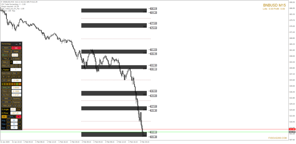 تحليل سعر BNB/USD اليوم 2/2/2025 1 BNB/USD